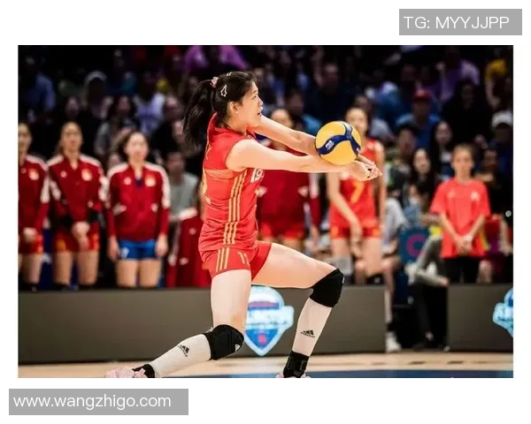 深圳排球队实力引发热议球迷对球队表现的看法与争论