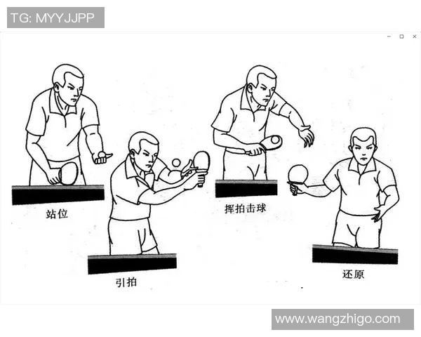 武汉乒乓球队反击战术深度解析与训练秘诀探讨